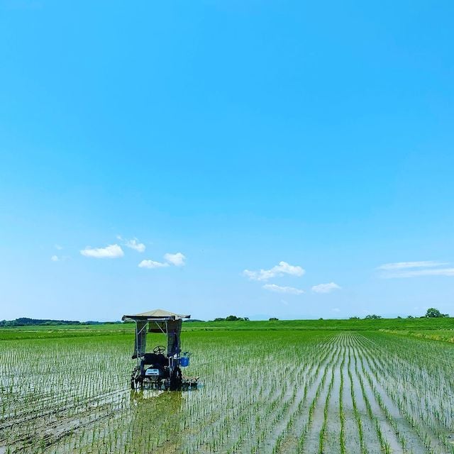 蕪栗グリーンファーム